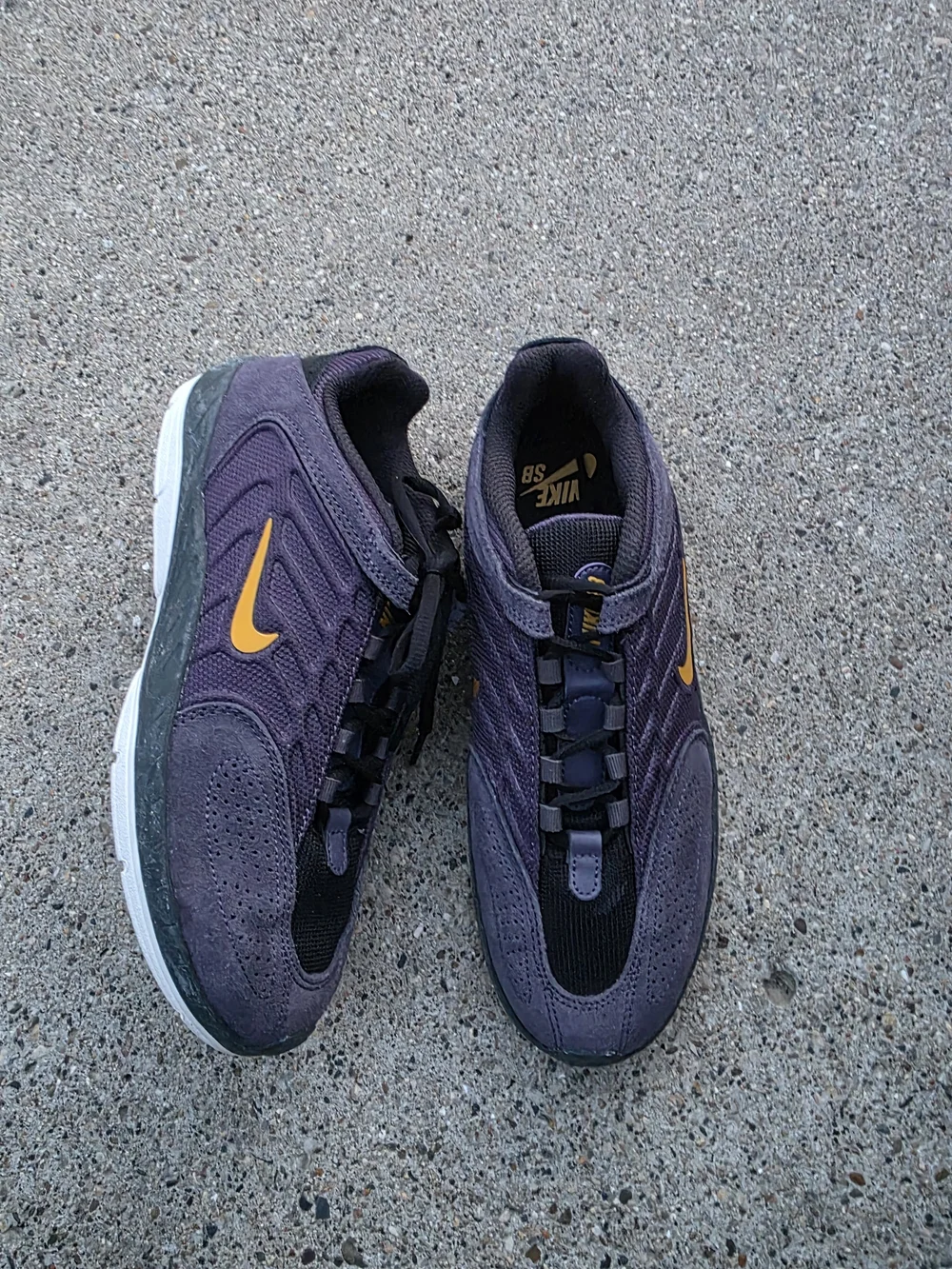 Nike Vertebrae SB 'Dark Raisin Sneaker Youth Boys 6